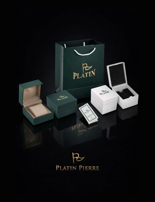 PLATİN PİERRE ERKEK KOL SAATİ  PL-1296GA-D2