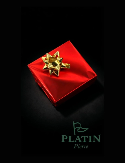 PLATİN PİERRE ERKEK KOL SAATİ  PL-1296GA-D2
